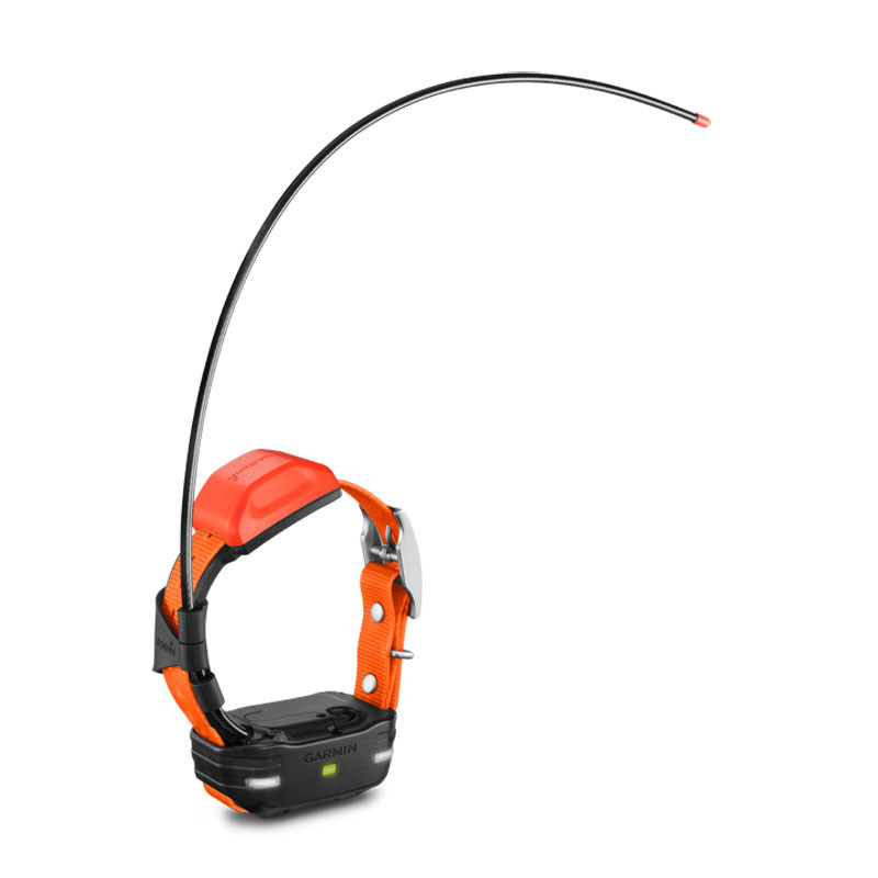 Alpha 100 t5 mini sale