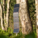 Sunbird P54 Vikbar Solpanel USB / USB-A IP67