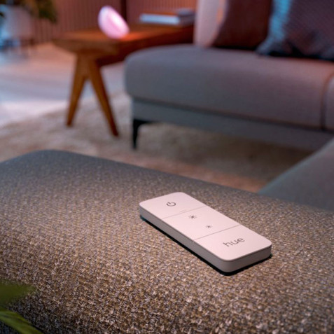 Hue DIM Switch