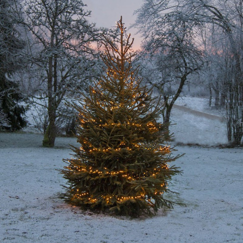LED Ljusslinga Golden Warm White 24 m