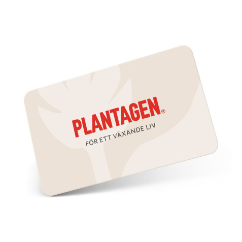 Plantagen